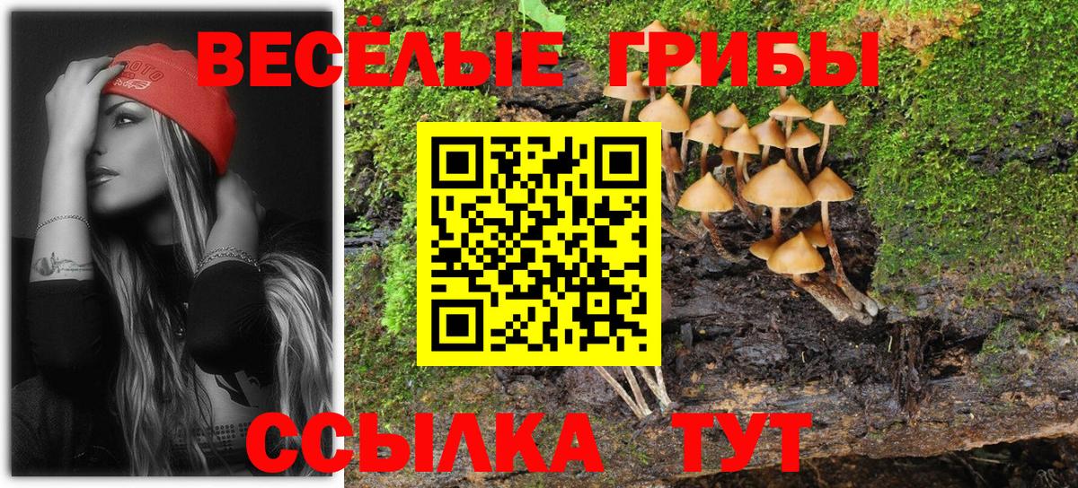Псилоцибиновые грибы мицелий  Псилоцибиновые грибы MAGIC MUSHROOMS  хочу   Вход с VPN  Качканар 